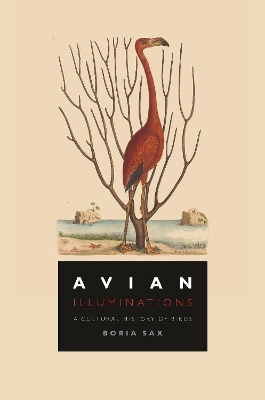 Avian Illuminations: A Cultural History of Birds book