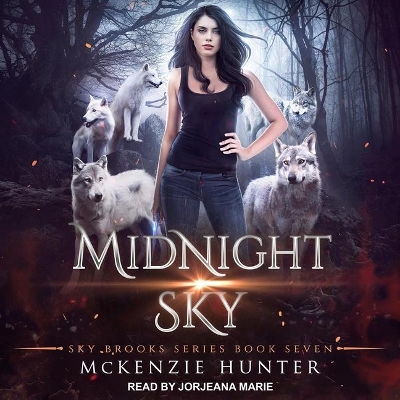 Midnight Sky book