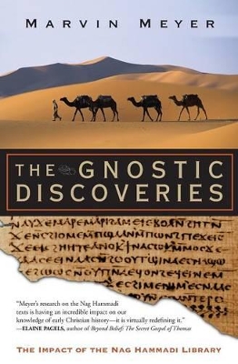 Gnostic Discoveries book