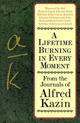 Lifetime Burning in Every Moment book