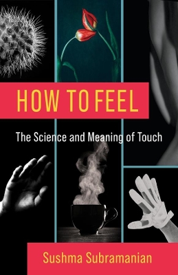 How to Feel: The Science and Meaning of Touch book