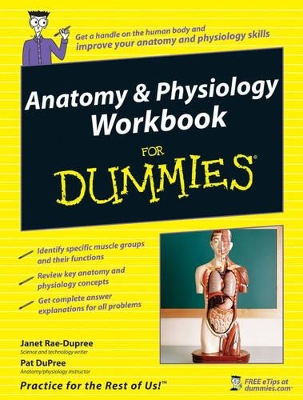 Anatomy and Physiology Workbook For Dummies book