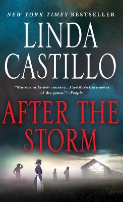 After the Storm book