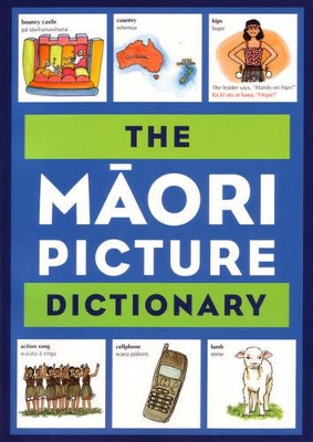 Maori Picture Dictionary book