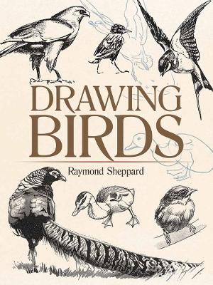 Drawing Birds book