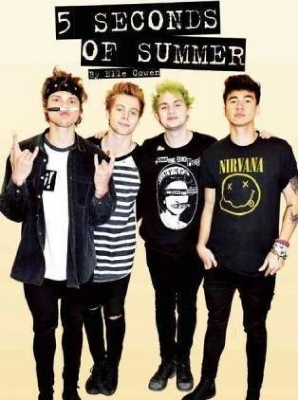 5 Seconds Of Summer book