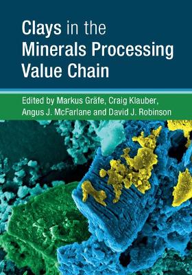 Clays in the Minerals Processing Value Chain book