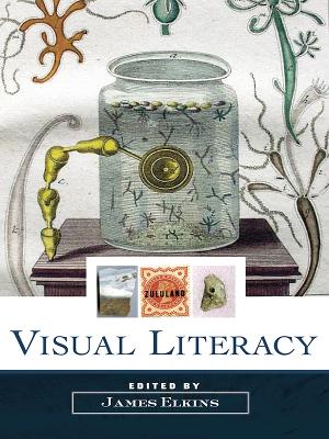 Visual Literacy by James Elkins