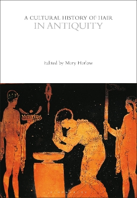 A Cultural History of Hair in Antiquity book