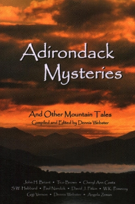 Adirondack Mysteries: And Other Mountain Tales by Dennis Webster