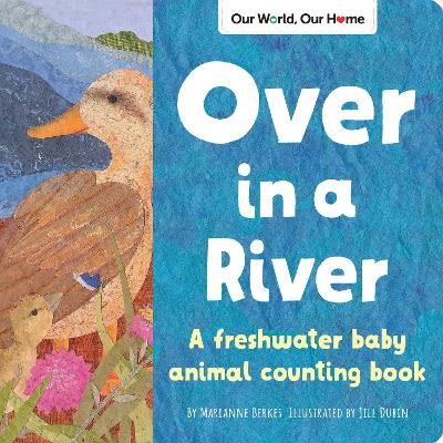 Over in a River: A freshwater baby animal counting book by Jill Dubin