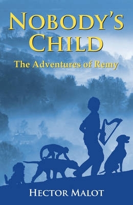 Nobody's Child book