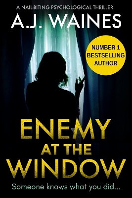 Enemy At The Window book