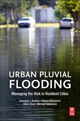 Urban Pluvial Flooding: Managing the Risk in Resilient Cities book