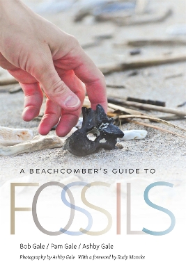 A Beachcomber's Guide to Fossils book