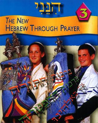 Hineni 3 book