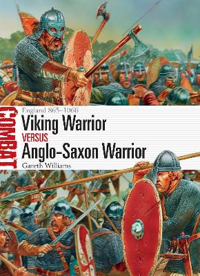 Viking Warrior vs Anglo-Saxon Warrior book