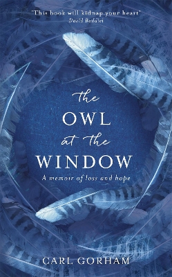 Owl at the Window book