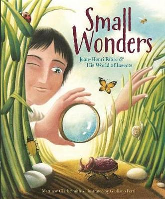 Small Wonders book