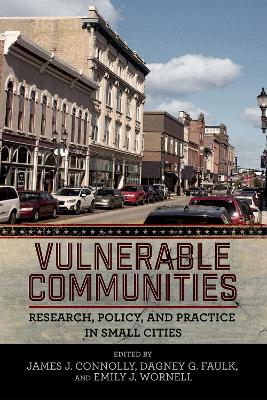 Vulnerable Communities: Research, Policy, and Practice in Small Cities book