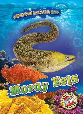 Moray Eels book