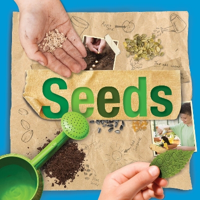 Seeds by Steffi Cavell-Clarke