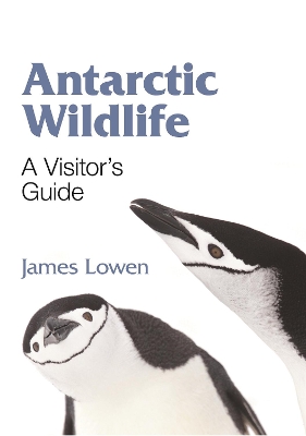 Antarctic Wildlife - A Visitor`s Guide by James Lowen