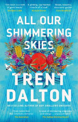 All Our Shimmering Skies: the next bestselling novel from the author of Boy Swallows Universe book