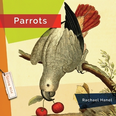 Parrots by Rachael Hanel