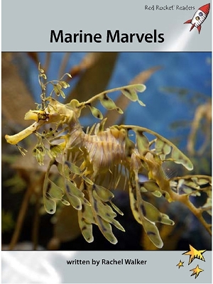 Marine Marvels book