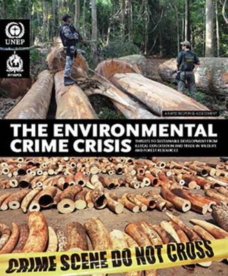 Environmental crime crisis book