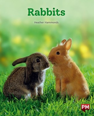 Rabbits book