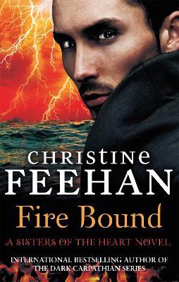Fire Bound book
