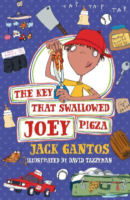 Key That Swallowed Joey Pigza book