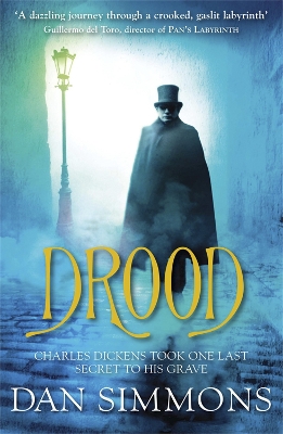 Drood book