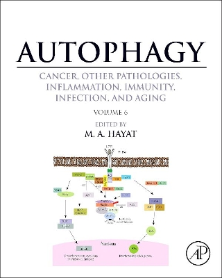 Autophagy: Cancer, Other Pathologies, Inflammation, Immunity, Infection, and Aging2D and 3D Drawing and Modeling book