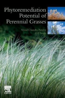 Phytoremediation Potential of Perennial Grasses book