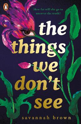 The Things We Don't See book