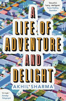 Life of Adventure and Delight by Akhil Sharma