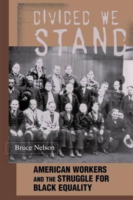 Divided We Stand by Bruce Nelson