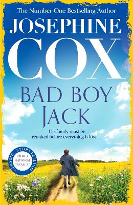 Bad Boy Jack: A father's struggle to reunite his family book