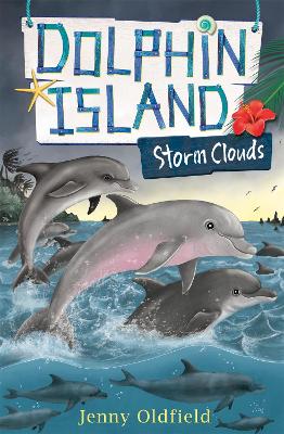 Dolphin Island: Storm Clouds book