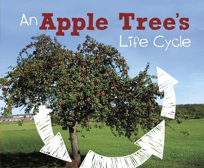 An An Apple Tree's Life Cycle by Mary R. Dunn