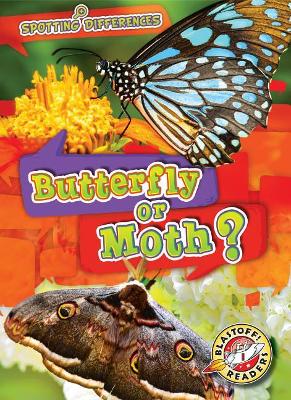 Butterfly or Moth book