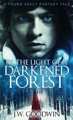 By The Light of a Darkened Forest by J W Goodwin
