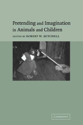 Pretending and Imagination in Animals and Children by Robert W. Mitchell