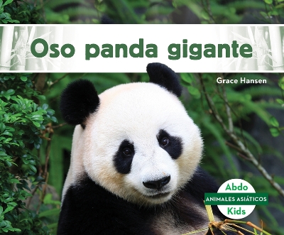 Oso Panda Gigante book
