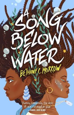 A Song Below Water: A Novel book