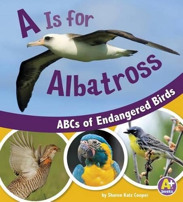 A is for Albatross book
