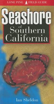 Seashore of Southern California book